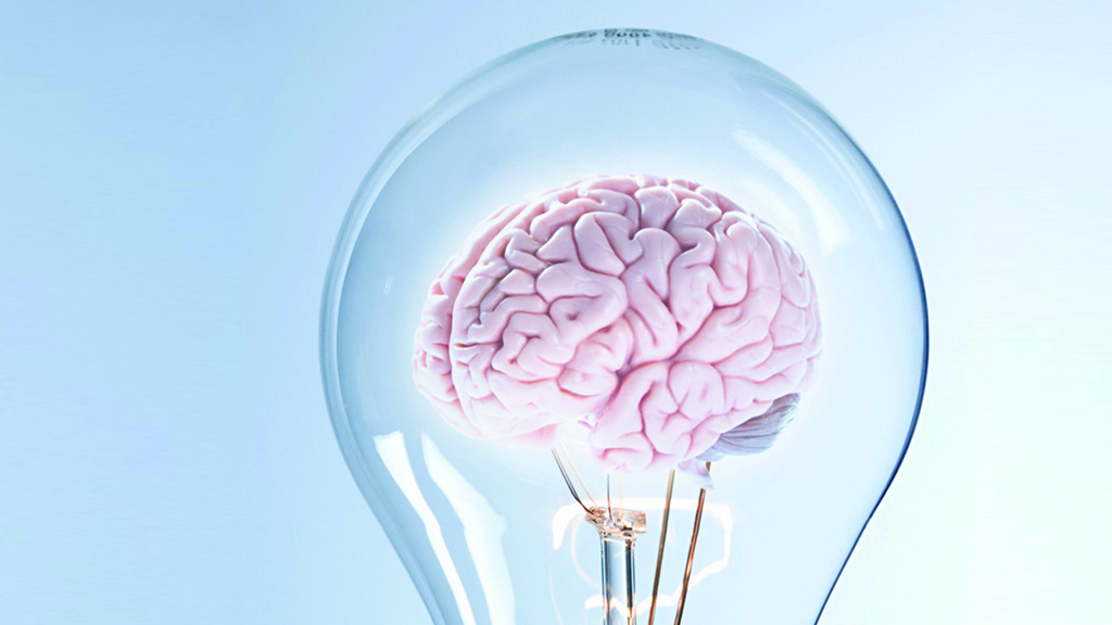 Light bulb with a brain inside