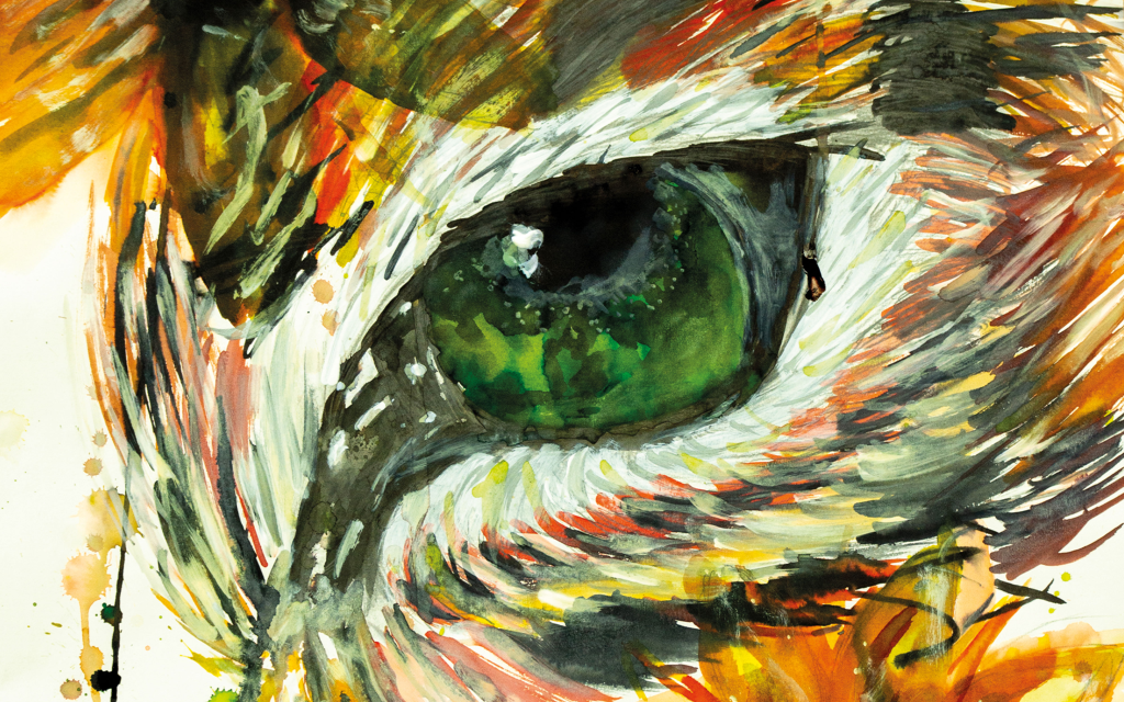 Painted eye of a bird